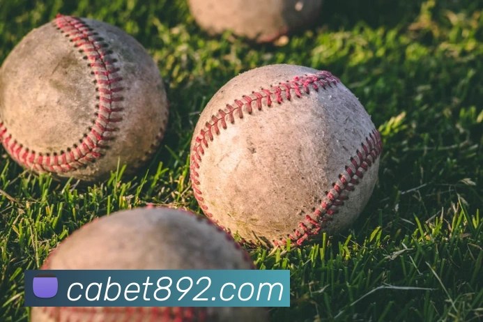 平台使命图
